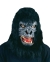 Two Bit Roar