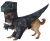 Pupasaurus Rex Dog Md