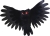 Animated Owl
