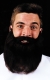 Mustache Beard Grey 8In