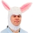 Adult Bunny Hood