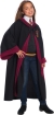 Gryffindor Set Dlx Child Small
