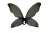 Wings Fairy Blue Black