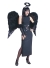 Angel Wings Feathr Adlt Blk