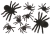 Spider Family 8 Card Blk Fuzzy