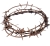 Crown Of Thorns