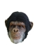 Chimp Latex Mask