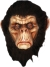 Bad Brown Chimp Latex Mask