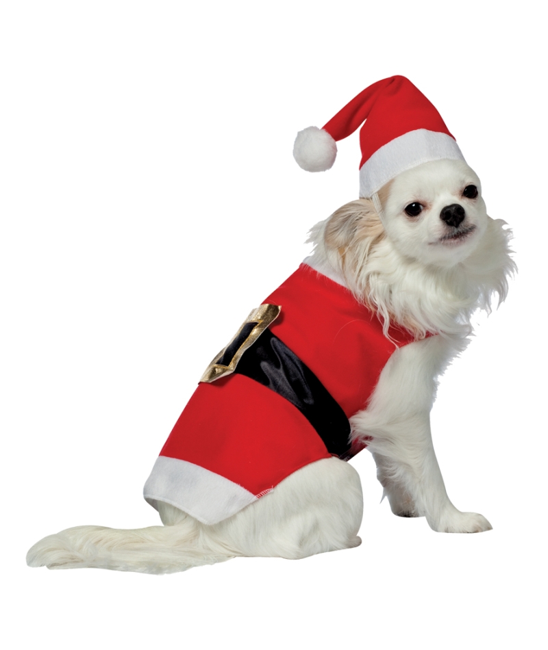 Pet Costume Santa
