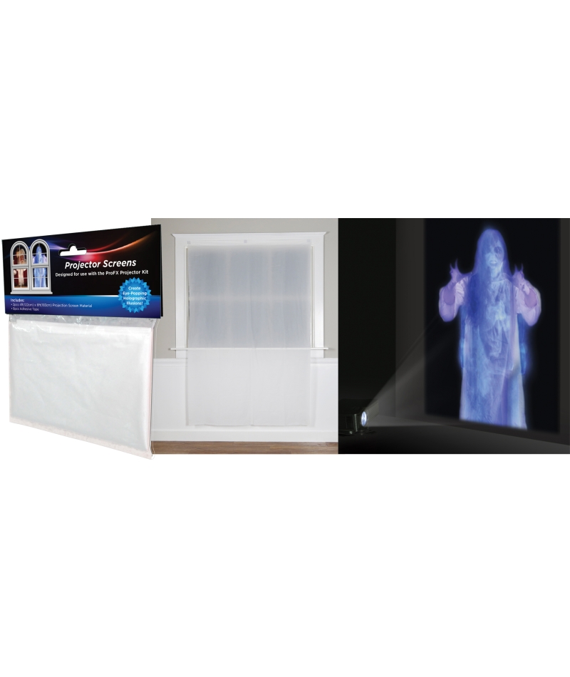 Profx Projector Screen 2 4X6Ft